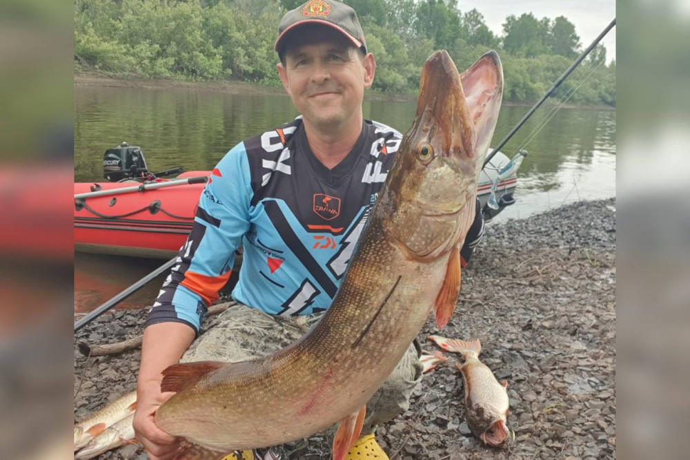 В Свердловской области рыбак поймал крупную щуку весом более семи килограммов  | Уральский рыбак выловил более десяти щук от одного до семи килограммов