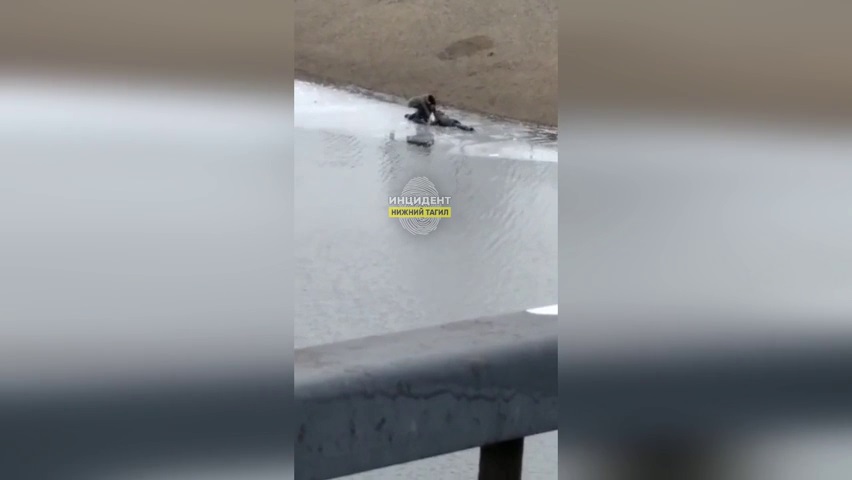 В Нижнем Тагиле ребенок едва не утонул, провалившись под лед