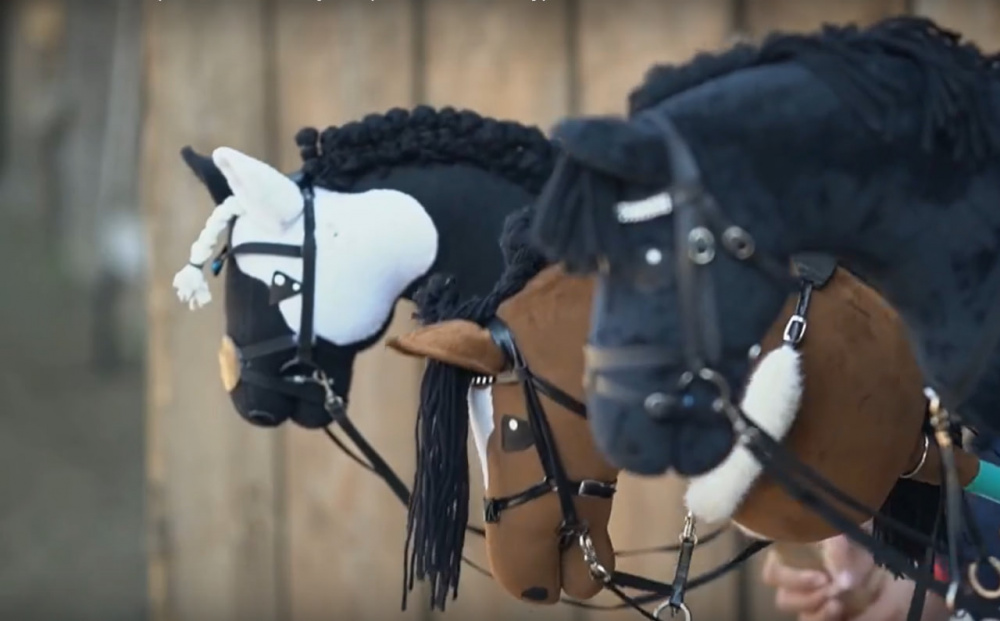 Соревнования по хоббихорсингу вновь пройдут в Нижнем Тагиле | В Нижнем Тагиле узнают имена лучших хоббихорсеров