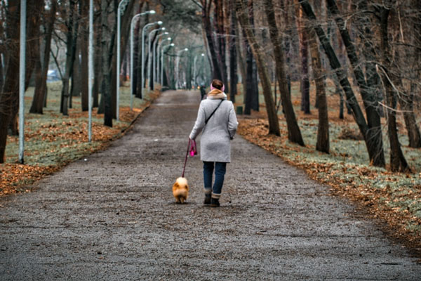 На детской площадке Нижнего Тагила собака покусала ребёнка: хозяйка скрылась | В Нижнем Тагиле собака без намордника набросилась на 6-летнюю девочку