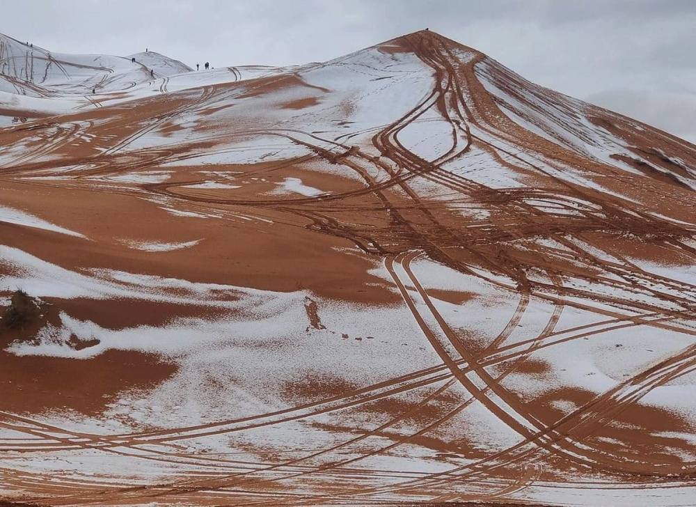 Жители Алжира не узнали родную пустыню: Сахару накрыло снегопадом — такое происходит очень редко | В пустыне Сахара выпал снег: редкое явление запечатлели на фото Жители Алжира не узнали родную пустыню: Сахару накрыло снегопадом — такое происходит очень редко | В пустыне Сахара выпал снег: редкое явление запечатлели на фото