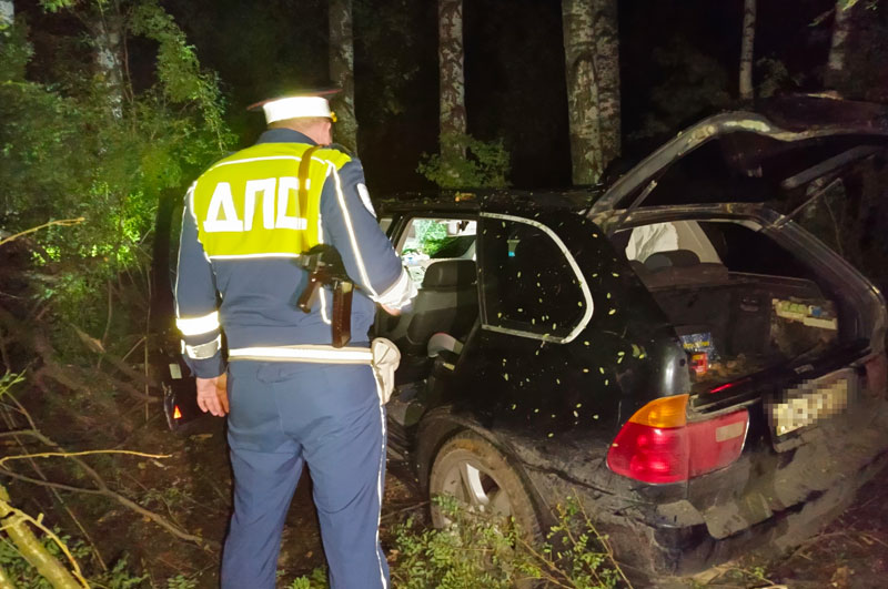 Смертельное ДТП под Нижним Тагилом: BMW X5 сбил велосипедиста, дети в машине чудом не пострадали | Под Нижним Тагилом водитель BMW X5 насмерть сбил велосипедиста и съехал в кювет