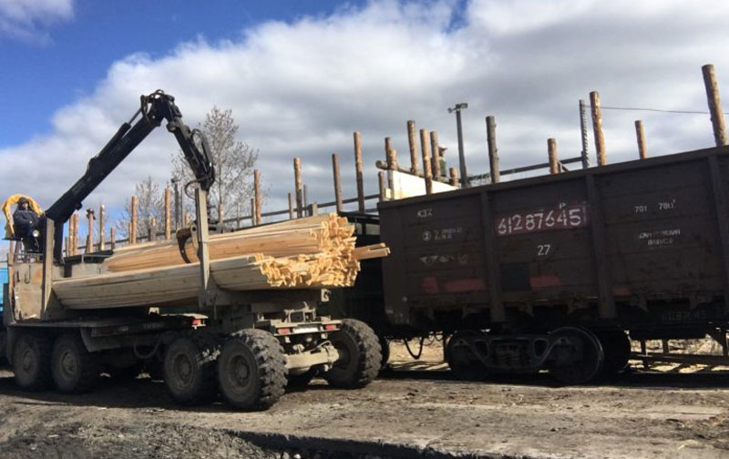 57 тысяч кубометров леса ушли за границу: куда Россия отправила древесину и кто проверил груз | Уральское управление Россельхознадзора проверило 57 тысяч кубометров леса перед экспортом