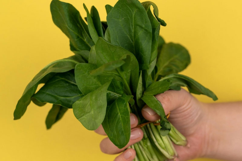 Вечная молодость на тарелке: токсиколог Кутушов назвал главный продукт для сохранения здоровья | Токсиколог Кутушев объяснил пользу зелени для молодости