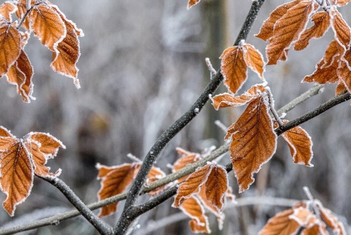 Морозы до -18° на подходе: подробный прогноз погоды в Екатеринбурге и области на ближайшие дни | В Свердловской области ожидается похолодание до -18 градусов Морозы до -18° на подходе: подробный прогноз погоды в Екатеринбурге и области на ближайшие дни | В Свердловской области ожидается похолодание до -18 градусов