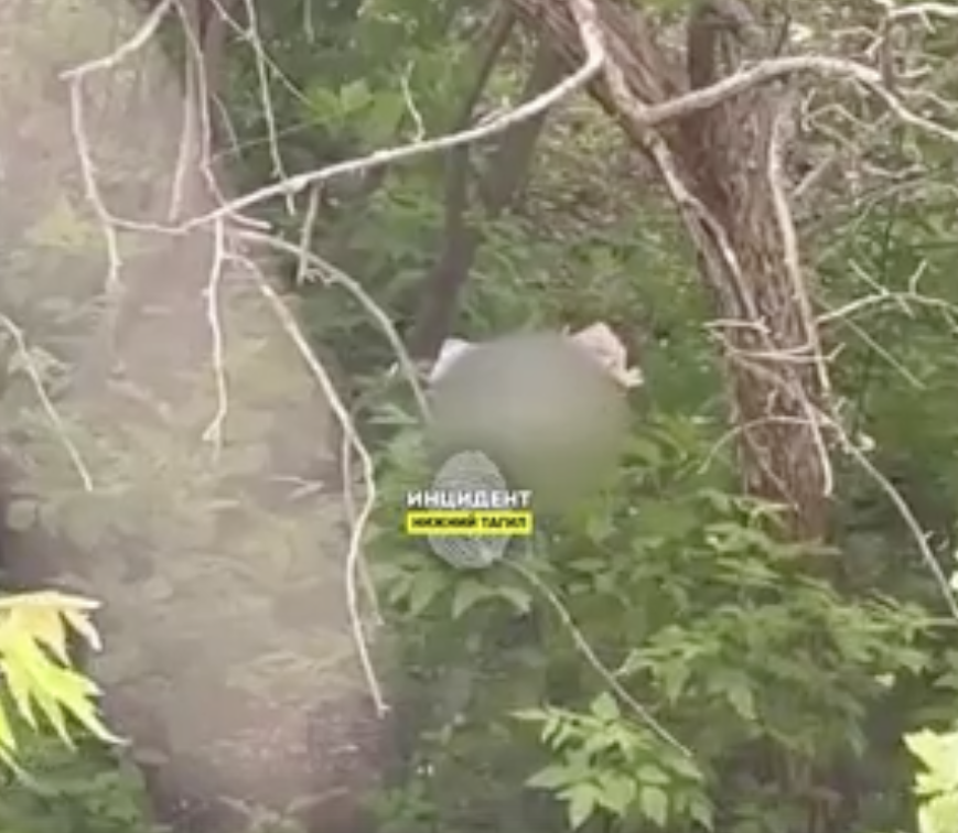 В Нижнем Тагиле нетрезвая парочка прилюдно занялась сексом