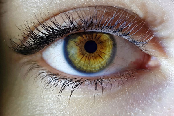 «Эпидемия близорукости»: среди россиян прогрессирует дефект зрения | Врач Акопян: среди школьников начала прогрессировать близорукость