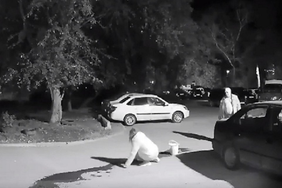 В Екатеринбурге мужчина безжалостно убил собаку