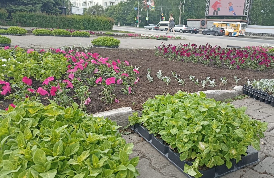 Нижний Тагил преображается в цветочную сказку