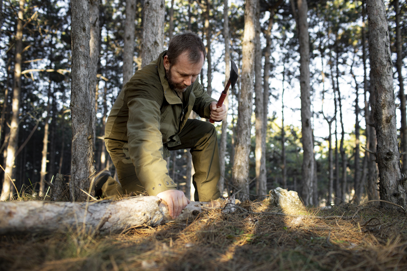 Народные приметы на 5 октября: почему нельзя есть рыбу и встречать старика с лукошком