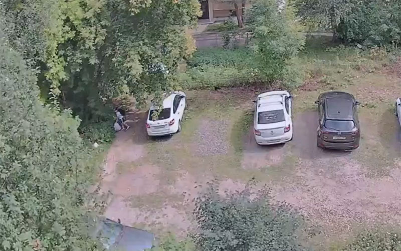 В Нижнем Тагиле ребёнок устроил свалку во дворе: жители нашли виновника на камере | Жители Нижнего Тагила через камеры вычислили ребёнка, выбрасывающего мусор мимо контейнеров В Нижнем Тагиле ребёнок устроил свалку во дворе: жители нашли виновника на камере | Жители Нижнего Тагила через камеры вычислили ребёнка, выбрасывающего мусор мимо контейнеров