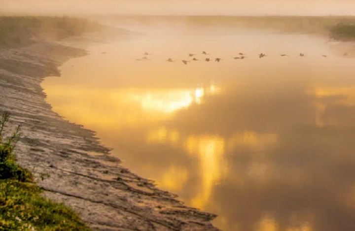 На очистку Черноисточинского водохранилища потратили почти 150 миллионов рублей