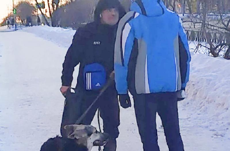 В Нижнем Тагиле обнаружили живодера, избивавшего собаку на глазах у прохожих | Живодер из Нижнего Тагила избивал собаку на глазах у прохожих