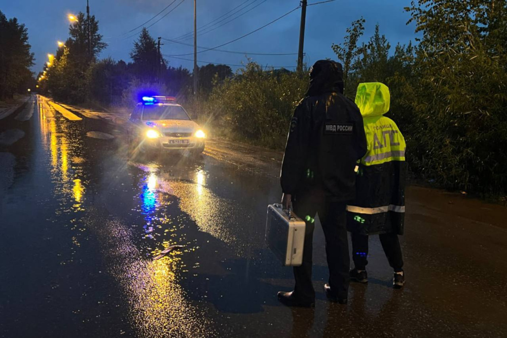 «Захлебывался кровью»: что известно о страшном ДТП в Нижнем Тагиле, в котором пешехода бросили на дороге | На Урале водитель сбежал с места ДТП и оставил сбитого пешехода в крови