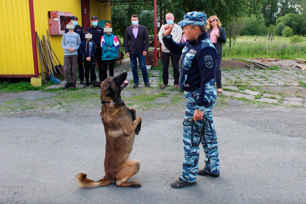 Представители Общественного Совета при полиции вместе с подопечными ЦВСНП МУ МВД России «Нижнетагильское» познакомились с работой кинологов
