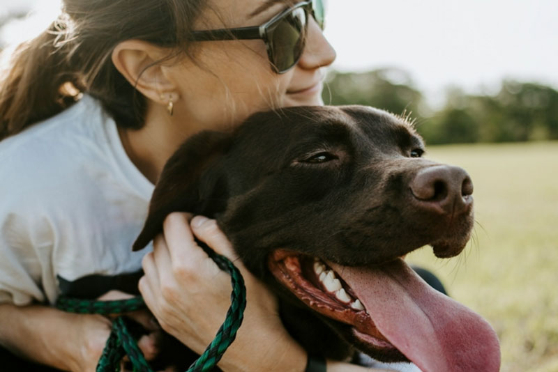 Английский врач рассказала, что сон с собакой в одной постели приводит к астме и аллергии | Доктор Дебора Ли: спать с собакой в одной постели может быть опасно Английский врач рассказала, что сон с собакой в одной постели приводит к астме и аллергии | Доктор Дебора Ли: спать с собакой в одной постели может быть опасно