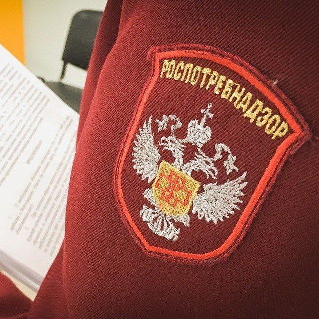 Всероссийская горячая линия в Нижнем Тагиле: права потребителей и искусственный интеллект