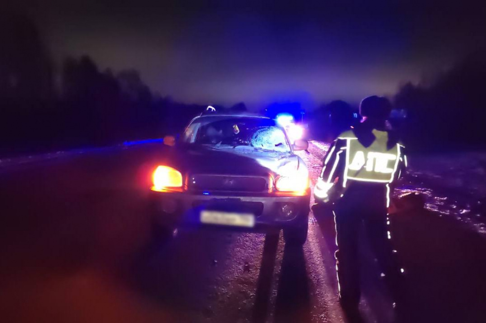 На трассе «Екатеринбург-Нижний Тагил-Серов» произошло сразу два ДТП с летальным исходом | На Урале в результате ДТП погибли пешеходы