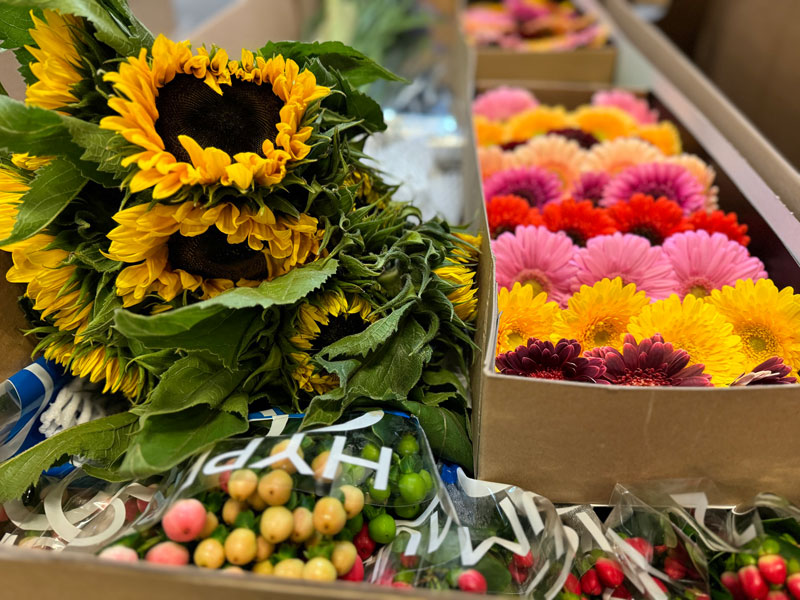 Импорт цветов на Урал в августе вырос в два раза: подробности поставок роз, хризантем и гвоздик | На Урал завезли вдвое больше цветов перед 1 сентября: розы и хризантемы лидируют Импорт цветов на Урал в августе вырос в два раза: подробности поставок роз, хризантем и гвоздик | На Урал завезли вдвое больше цветов перед 1 сентября: розы и хризантемы лидируют