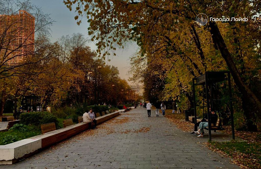 Сюрприз от погоды: Урал ждёт потепление до +11 градусов перед зимним похолоданием | На Урале ожидается потепление до +11 градусов Сюрприз от погоды: Урал ждёт потепление до +11 градусов перед зимним похолоданием | На Урале ожидается потепление до +11 градусов