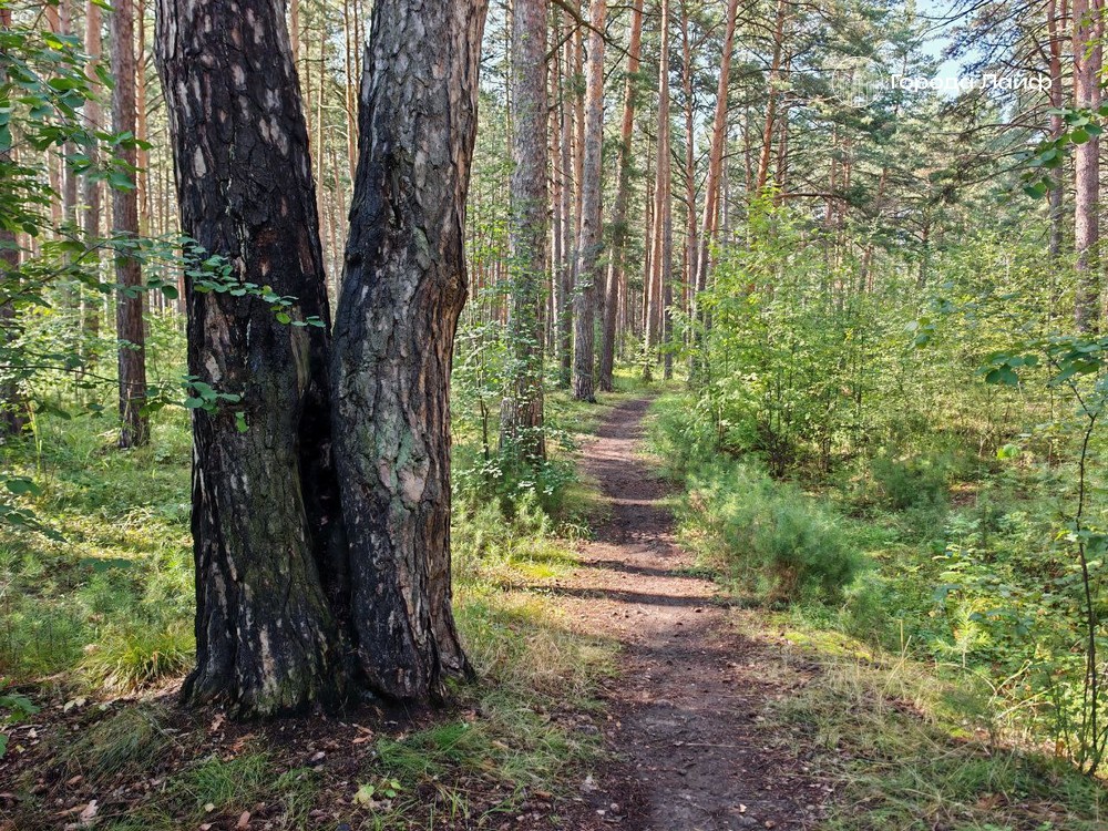 6 сентября — день Евтихия Тихого: народные приметы и запреты | Евтихий Тихий: что нельзя делать 6 сентября и какие приметы стоит знать