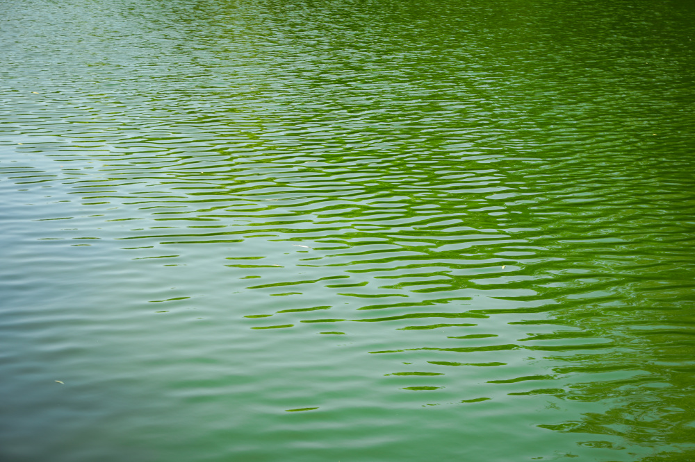 Расследование дела о женщине, которую сбил катер, продлили на месяц | В Нижнем Тагиле на месяц продлили расследование дела о пострадавшей на сапе