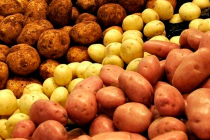 В Свердловской области вновь подорожали овощи, но подешевели яйца | На Урале выросли цены на морковь, картофель, лук и помидоры В Свердловской области вновь подорожали овощи, но подешевели яйца | На Урале выросли цены на морковь, картофель, лук и помидоры