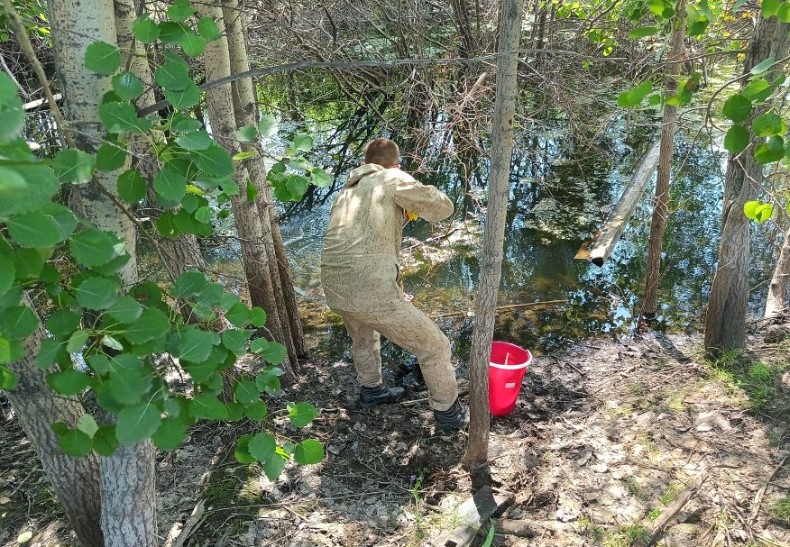 Свалку промышленных отходов проверили в Нижнем Тагиле — эксперты проанализируют там воздух и почву | Росприроднадзор в Нижнем Тагиле проверил свалку промышленных отходов