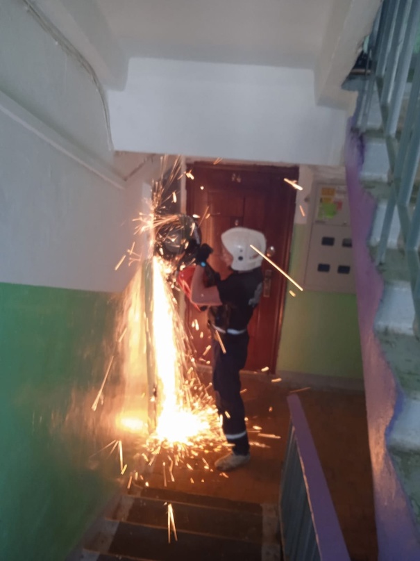 Решительные действия спасателей: Помощь в поимке живодёра-блогера