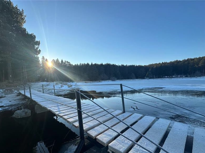 В Нижнем Тагиле пенсионер своими силами восстановил мост в районе Муринского пруда | На Урале местные жители сами построили новый мост вместо разрушенного 
