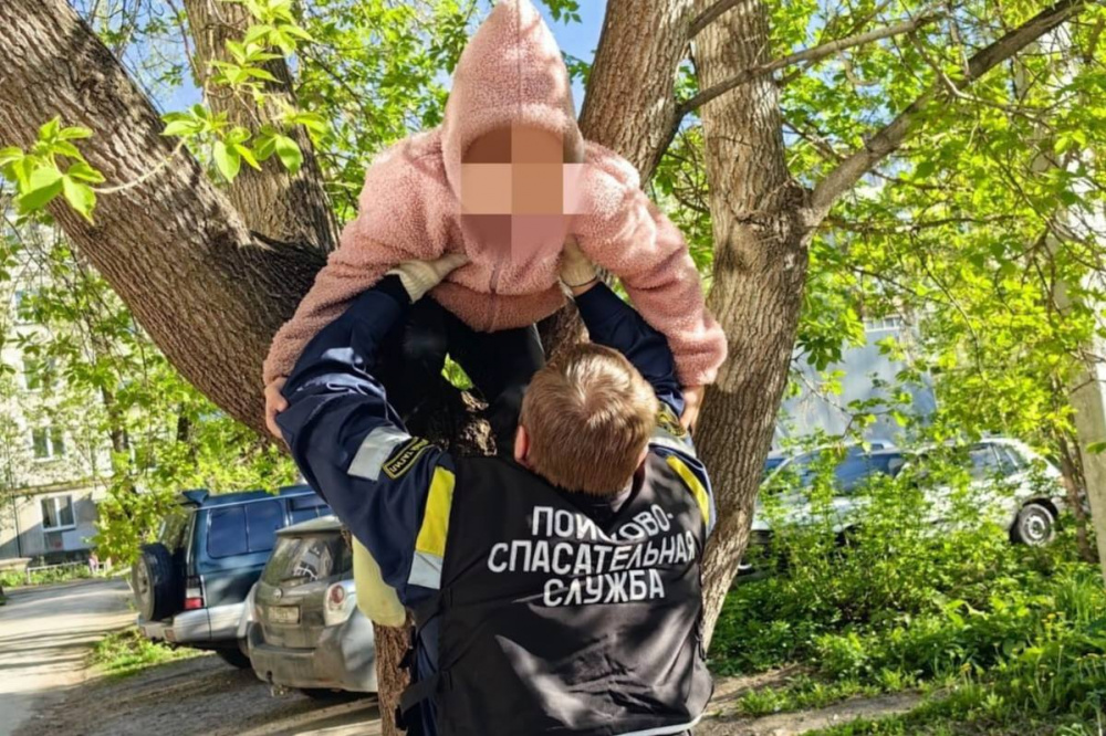 В Нижнем Тагиле 9-летняя девочка пыталась спасти котенка, но в итоге помощь понадобилась ей | На Урале спасатели сняли с дерева ребенка, пытавшегося спасти котенка