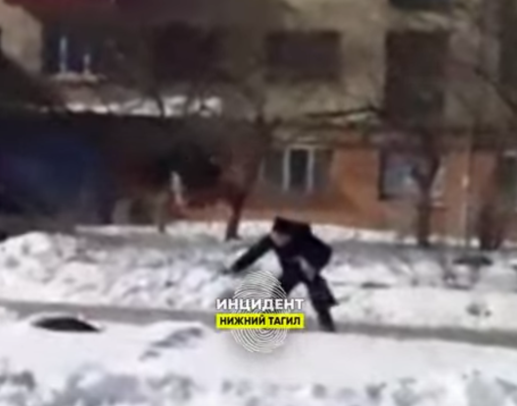 В Нижнем Тагиле живодер поднял собаку на поводке и со всей силы бросил о землю