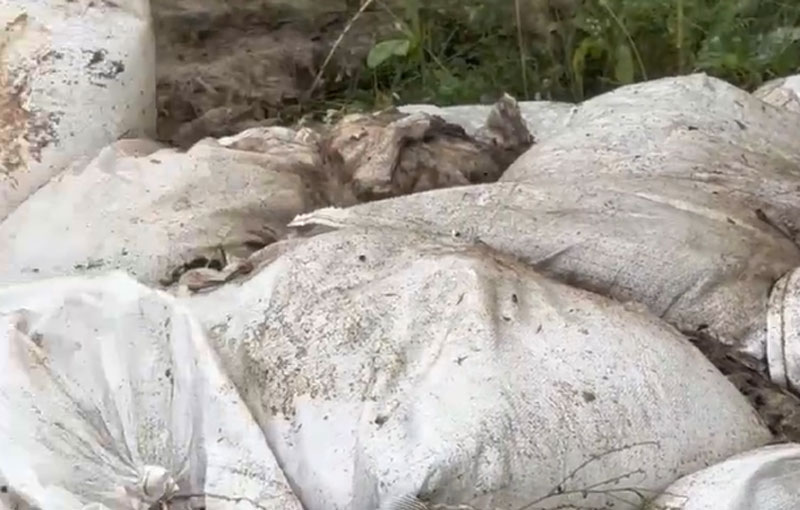 В Нижнем Тагиле у леса нашли свалку с мешками останков животных | Жители Нижнего Тагила обнаружили свалку с костями рядом с лесом