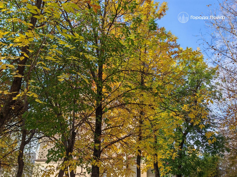 Погода в Нижнем Тагиле: пасмурно и до +6° с высокой влажностью | В Нижнем Тагиле ожидается пасмурный день с температурой до +6°