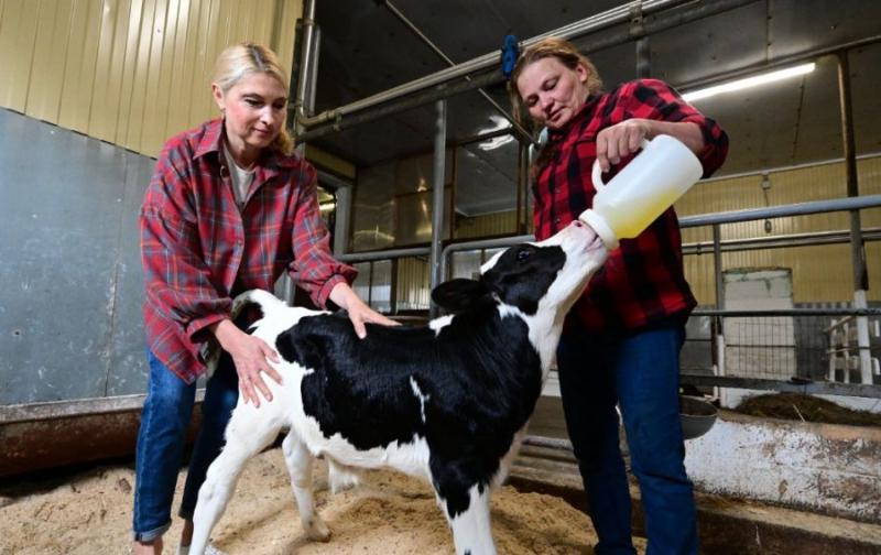 Денис Паслер выделил почти 70 миллионов рублей в поддержку свердловских фермеров | Фермеры Свердловской области получат гранты на 70 млн рублей