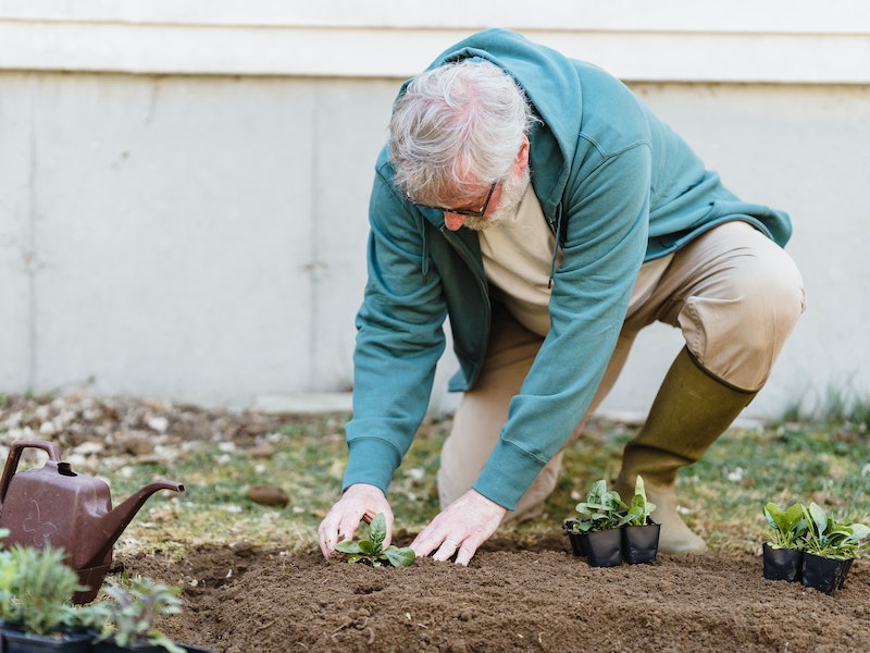 Лучшее сельское подворье выбрано в Нижнем Тагиле