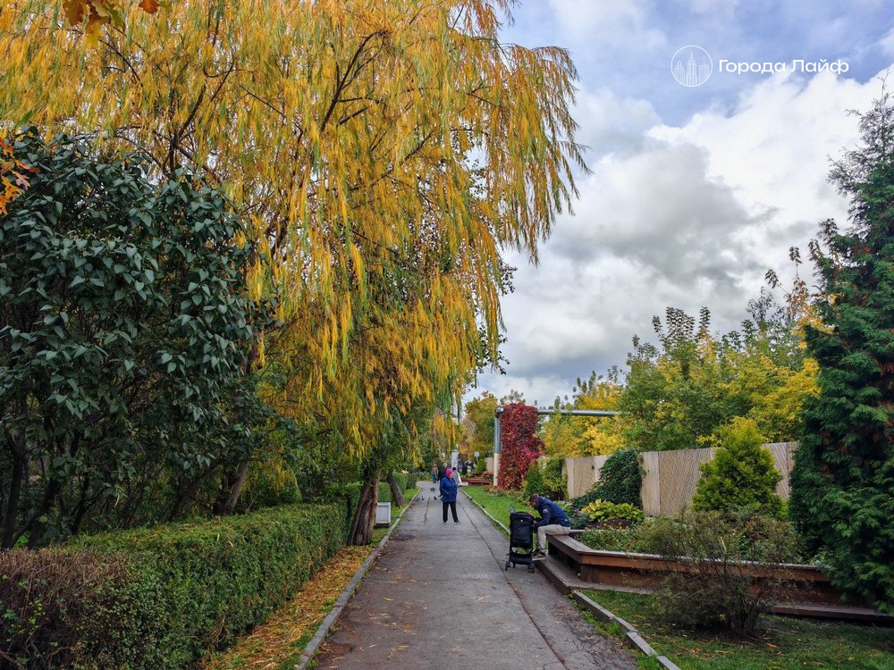 В Свердловской области начинается резкое похолодание: в выходные ожидается снег и температура до +1° | В Свердловской области начинается резкое похолодание
