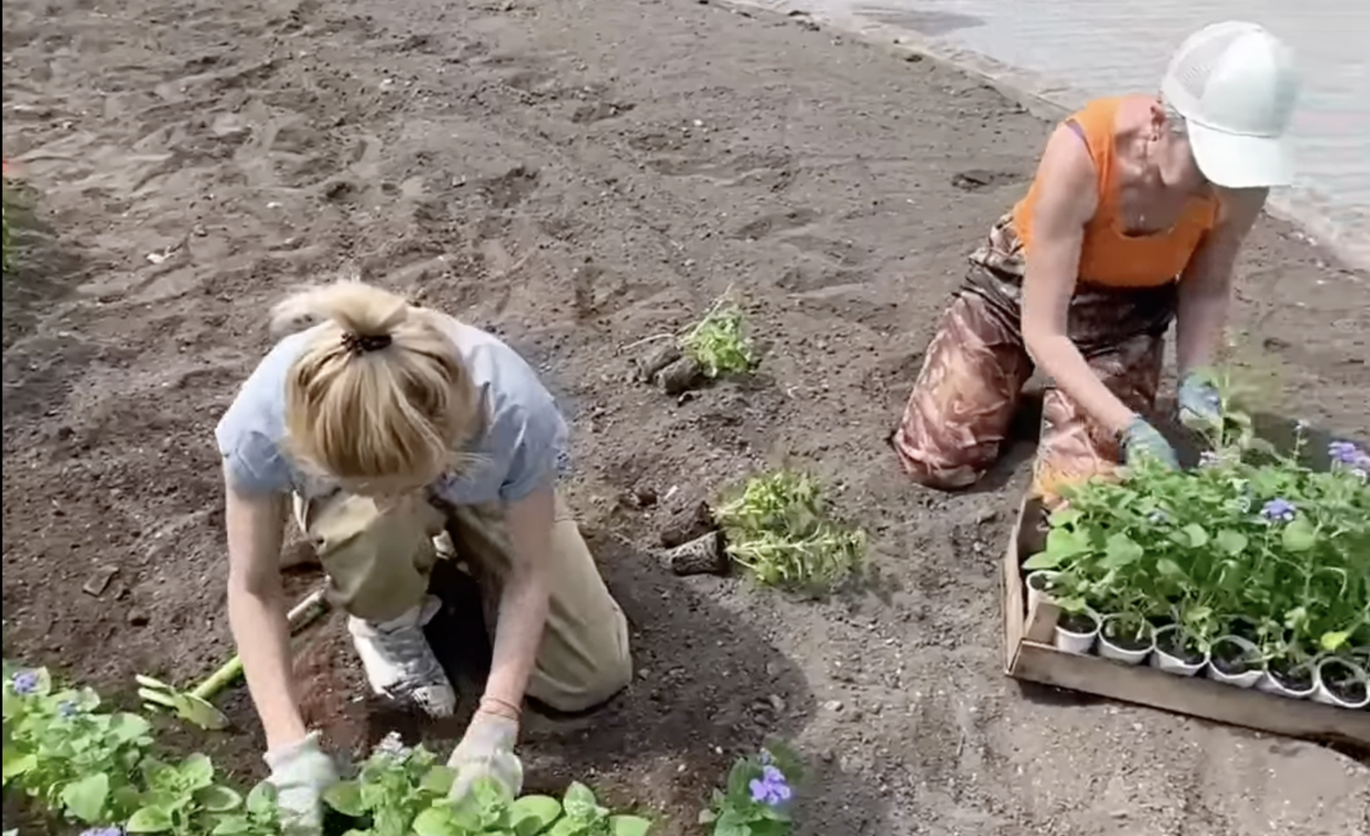 Нижний Тагил оживает красочными цветами