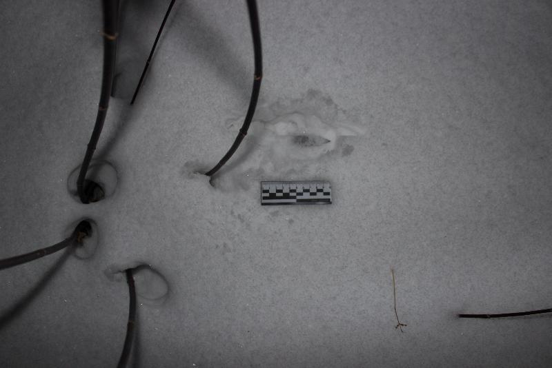 Жительнице Свердловской области дали 13 лет за убийство собутыльников | На Урале вынесли приговор свердловчанке, зарезавшей знакомых