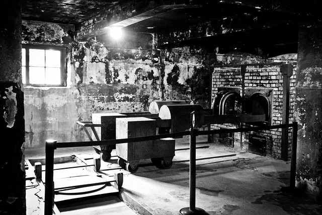 В Нижнем Тагиле разгорается протест из-за стройки крематория. Рядом школа и детский сад