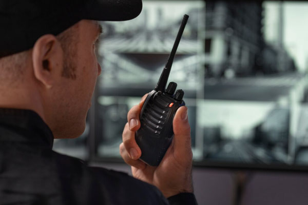 На охрану детских творческих центров в Нижнем Тагиле выделили 11 миллионов рублей | В Нижнем Тагиле ищут охрану для домов детского творчества