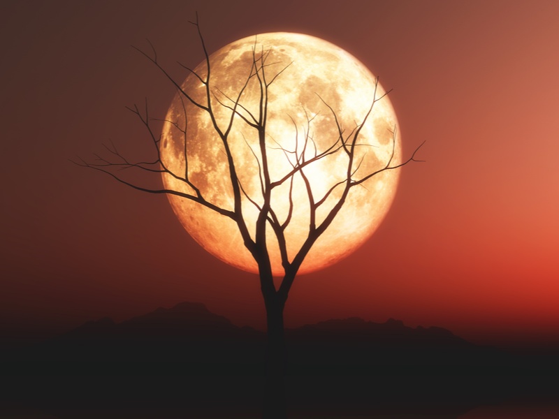 Космонавт Юрчихин заявил о возможном наличии микроорганизмов на Луне | Космонавт Юрчихин не исключил жизнь на Луне