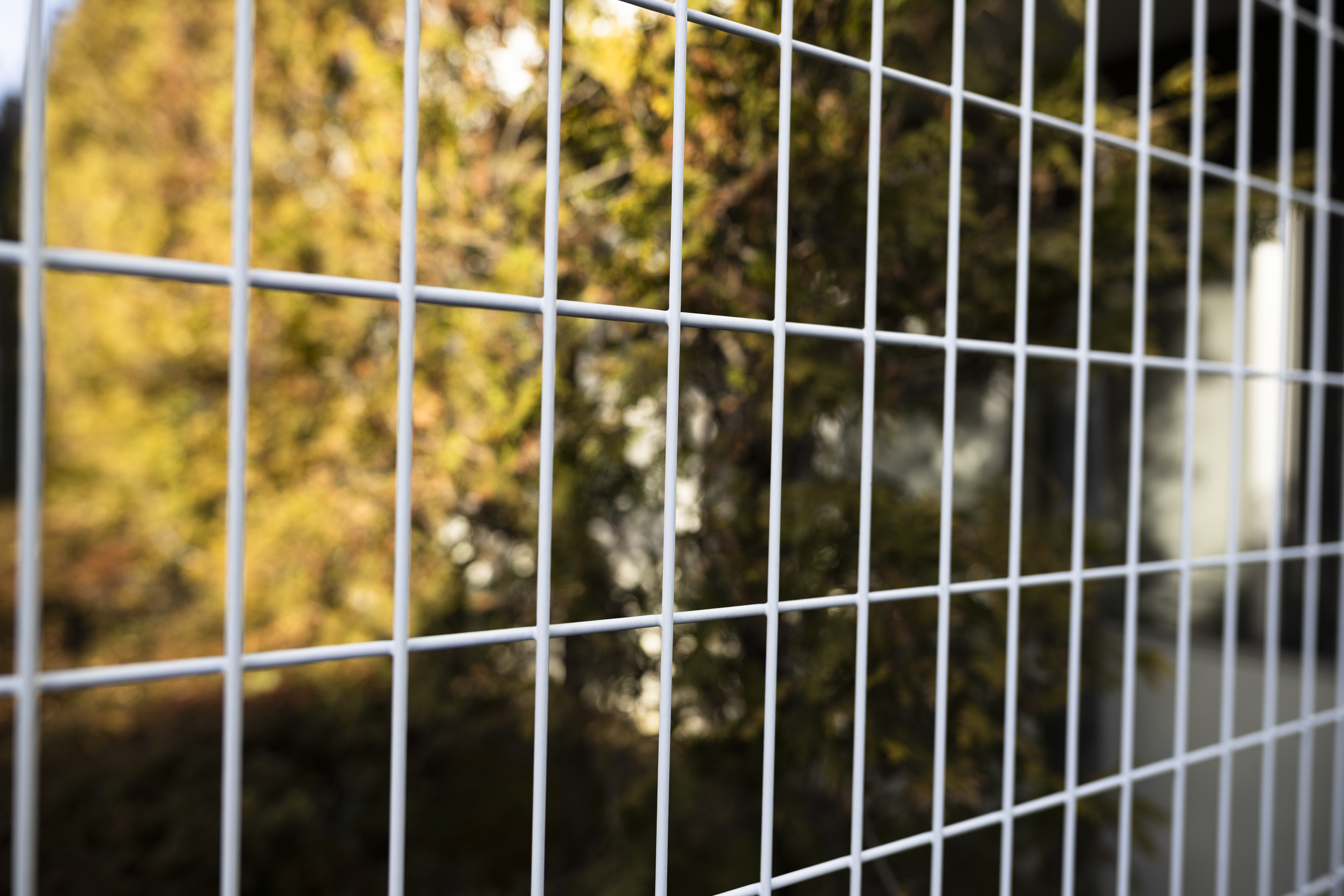 Житель Нижнего Тагила добился отмены на запрет ставить заборы во дворах