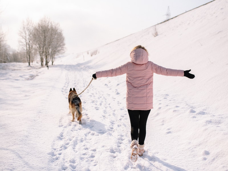 Госавтоинспекция рекомендует заменить летнюю авторезину на зимнюю