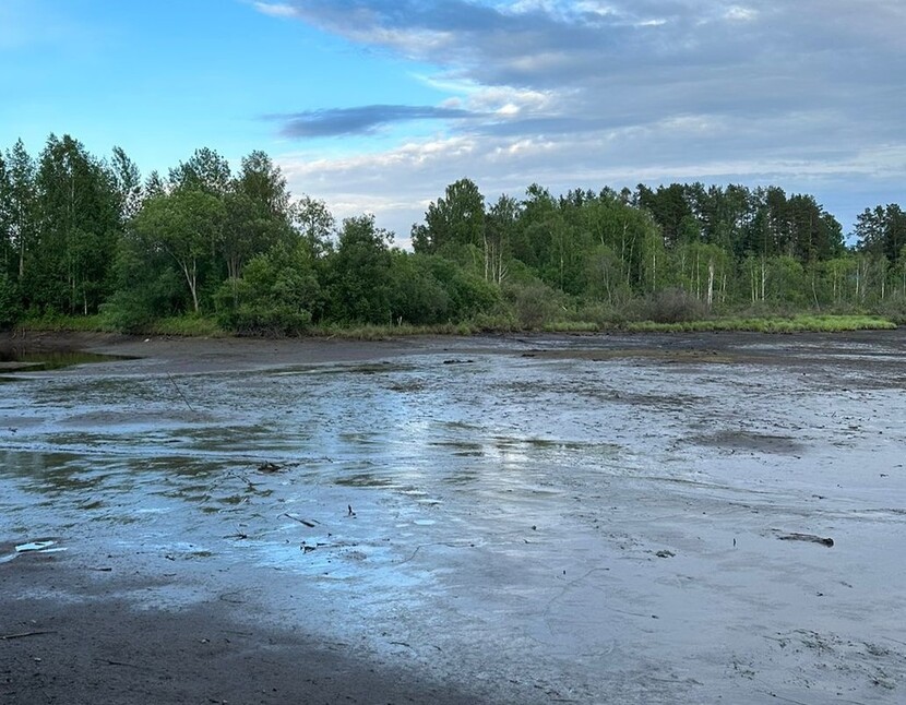 Под Нижним Тагилом размыло Исинскую дамбу — жители жалуются на последствия | Прорыв Исинской Дамбы под Нижним Тагилом оставит садоводов без полива