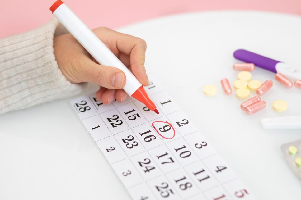 В Нижнем Тагиле мероприятия в честь Дня города – 2025 пройдут на семи площадках | Жителей Нижнего Тагила в День города ждет водное, световое и пиротехническое шоу