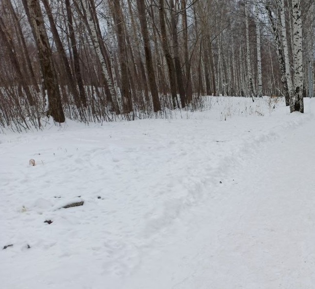 Нижний Тагил очищают от снега