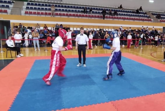 В Нижнем Тагиле на Кубке главы города по кикбоксингу разыграны 56 комплектов медалей