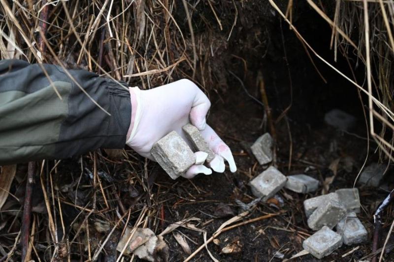 По лесам Среднего Урала распространят дозу: охотинспекторы проведут кампанию по вакцинации животных | На Урале охотинспекторы разложат 450 тысяч доз вакцины от бешенства По лесам Среднего Урала распространят дозу: охотинспекторы проведут кампанию по вакцинации животных | На Урале охотинспекторы разложат 450 тысяч доз вакцины от бешенства