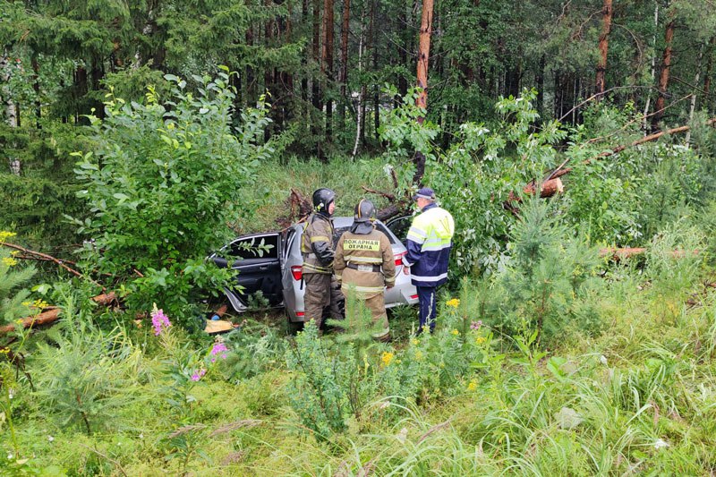 Водитель, по вине которого погибли два пассажира под Нижним Тагилом, привлекался к административной ответственности | Установлены предварительные обстоятельства ДТП с двумя погибшими под Нижним Тагилом